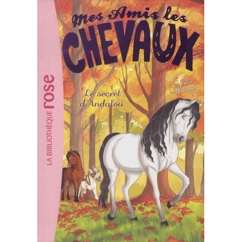 Mes Amis Les Chevaux - Tome 19 - Le Secret D'andalou