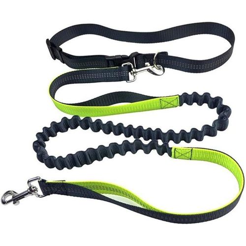 Shiba-Gris Laisse Chien Mains Libres, Ceinture Réglable Et Laisse Élastique Rétractable, Laisse Chien Jogging Avec Coutures Réfléc[5