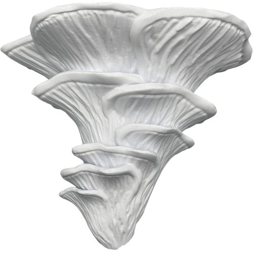 Gothicana By Empchampignon Étagère Murale Flamant Rose Seitling | Roses, Champignon Feuillu, Fungus, Étagère Décorative, Étagère À Champignons Exotique, Design Exotique, Impression 3d, Étagère Murale