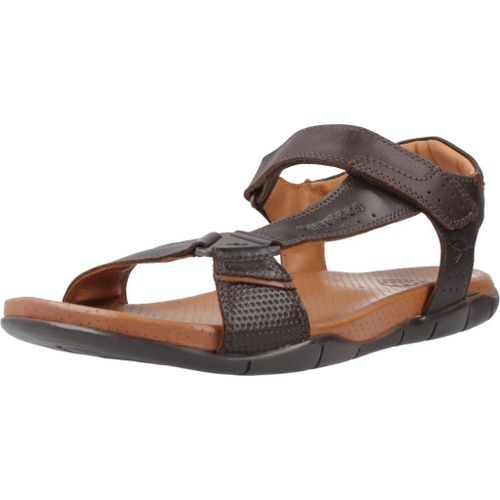 Kangaroos K858 Colour Marron