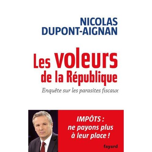 Les Voleurs De La République