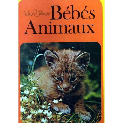 Bébés Animaux