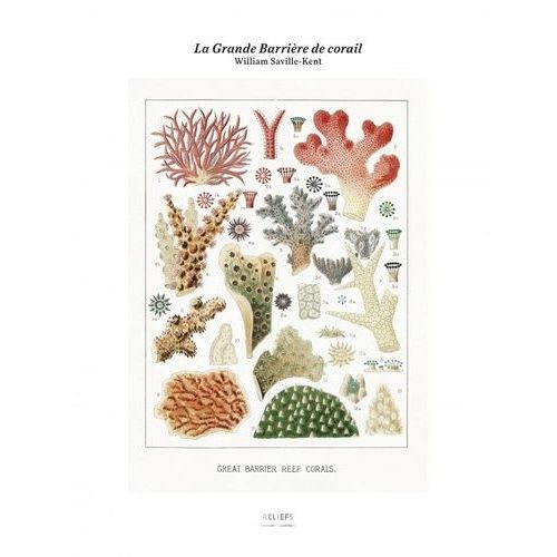 La Grande Barrière De Corail