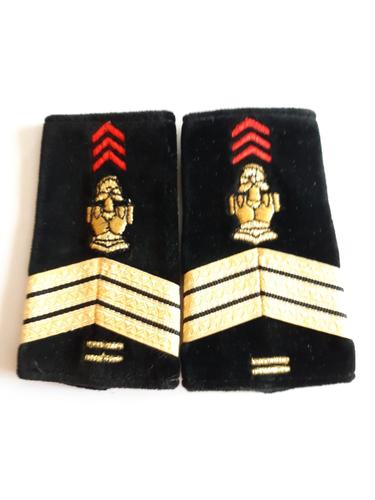 Fourreaux Grade Sergent-Chef Plus 10 Années 17 Rgp -Genie Parachutiste Armée De Terre