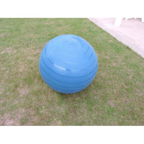 Swiss Ball Basic