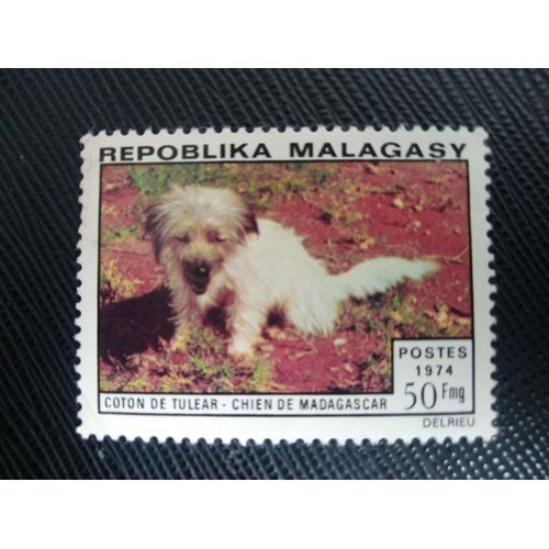 Timbre Madagascar Y T 547 Coton De Tuléar (Canis Lupus Familiaris) 1974 (050509 )
