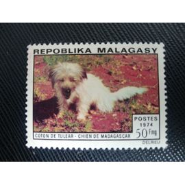 Timbre Madagascar Y T 547 Coton De Tuléar (Canis Lupus Familiaris) 1974 (050509 )