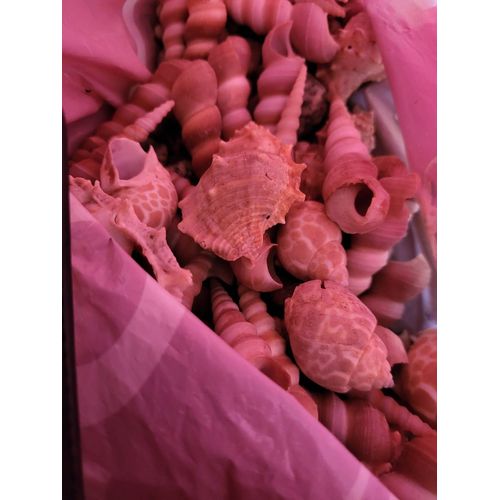 Sac De Coquillage