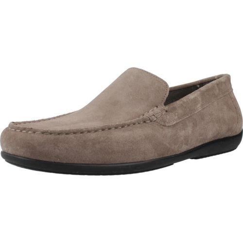 Chaussures Geox U Ascanio Colour Gris