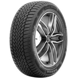 Pneu Radar Dimax Winter ( 215/65 R16 98H )