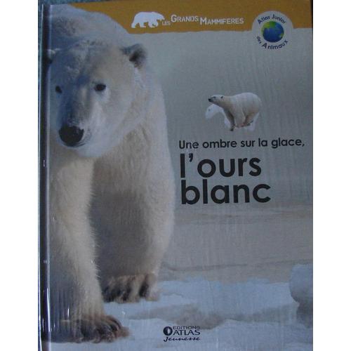 Atlas Junior Des Animeaux  N° 2012004 : Une Ombre Sur La Glace, L'ours Blanc