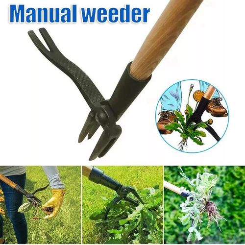 Outil de désherbage Jardin Pelouse Root Remover Outil de tueur vertical avec outil de jardinage à long manche