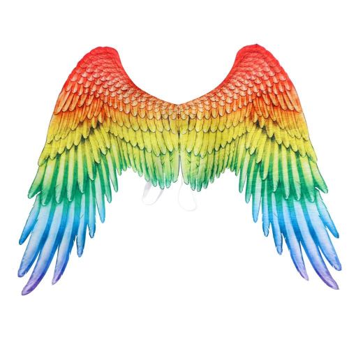 Non-Tissé Tissu Festif Fête Ange Ailes Halloween Surdimensionné Noir Blanc Ailes Costume Accessoires Arc-En-Ciel,Ailes D'ange