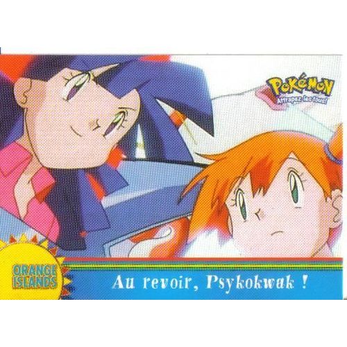 Au Revoir , Psykokwak ! / Pokemon / Or8