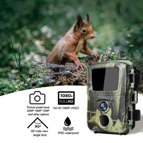Caméra de Chasse NATURE PRO 20MP HD 1080P IR Vision Nocturne étanche Outdoor Animal Infrarouge Détection