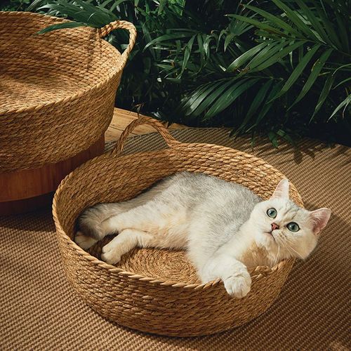 Lit À Gratter En Rotin Tissé À La Main Pour Animaux De Compagnie, Litière Pour Chat, Polymère À Gratter, Lit Rond, Accent De Panier Frais D'été, Lit De Couchage Pour Petit Chaton Et Chien