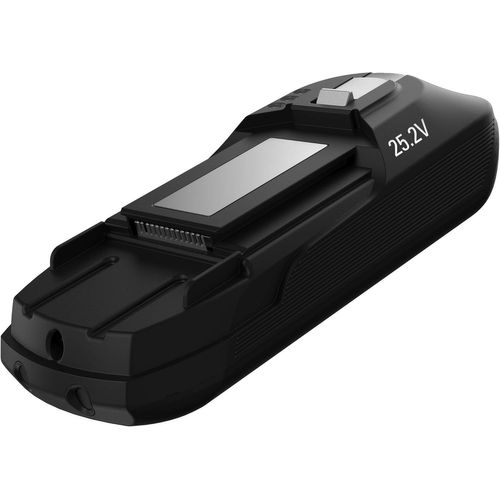Hamiltion-Batterie Amovible Lithium-Ion 25,2V, Compatible Aspirateur Balai Multifonction X-Force Flex 11.60, 45 Min D'Autonomie Supplémentaire Zr009701, Gris Anthracite