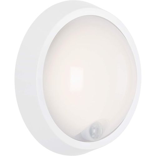 Hamiltion-Lampe D'extérieur À Led, Applique Murale D'extérieur Avec Détecteur De Mouvement Et Capteur Crépusculaire, 12 Watt, 1.150 Flux De Lumières, 4.000 Kelvin, Blanc, Rond, Ø 17cm