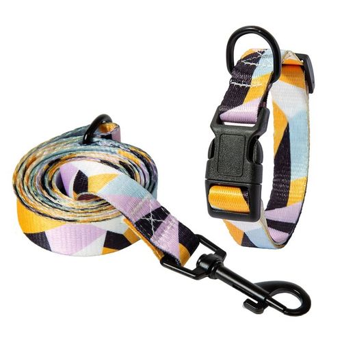 Ensemble Collier Et Laisse Pour Animaux De Compagnie, Petits, Moyens Et Grands Chiens, Colliers De Marche, Style Bohème, Chiot, Chat, Fournitures Pour Animaux De Compagnie, Buldog, Chihuahua