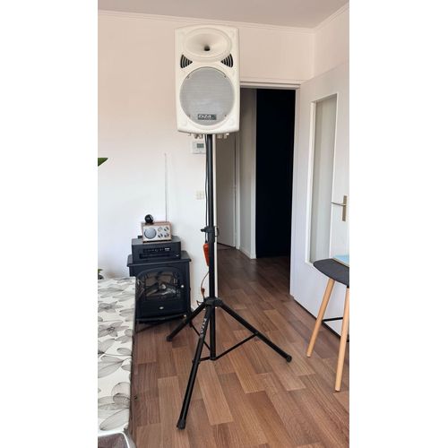 Enceinte sono portable Ibiza sound ( 2017)+ accessoires 