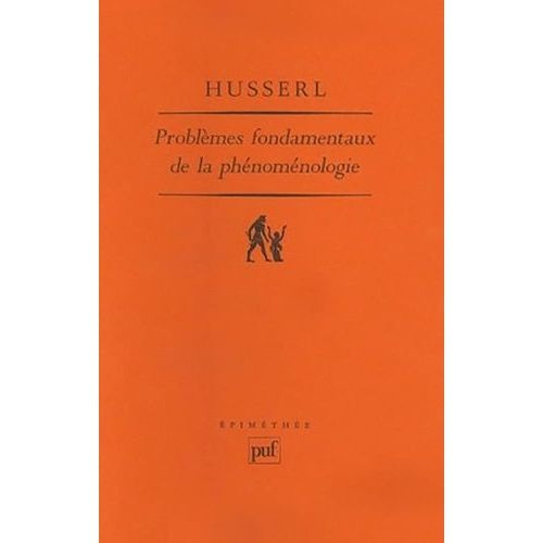 Problèmes Fondamentaux De La Phénoménologie