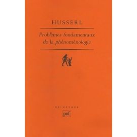 Problèmes Fondamentaux De La Phénoménologie