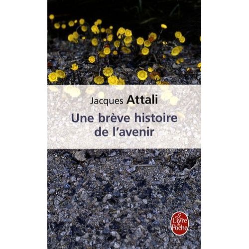 Une Brève Histoire De L'avenir