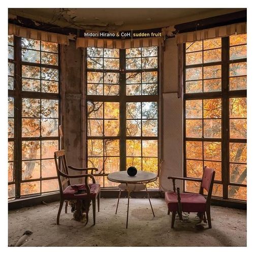 Sudden Fruit - Vinyle
