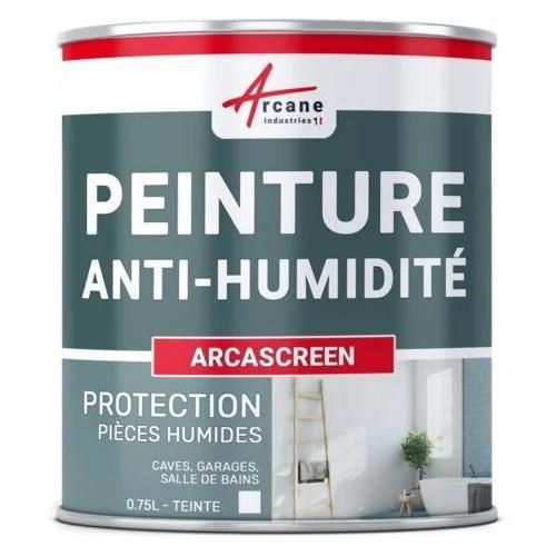 Peinture anti humidité mur humide plâtre béton placo cave sous-sol salle de bain sdb anti moisissure salpêtre isolante ARCASCREEN 0.75 L (jusqu a 3m²)