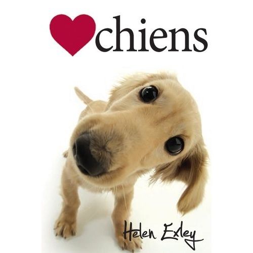 Chiens