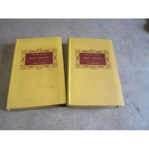 2 Vol Hector Malot Sans Famille Vol 1 Et 2 Flammarion Illustrations Georges Lepape