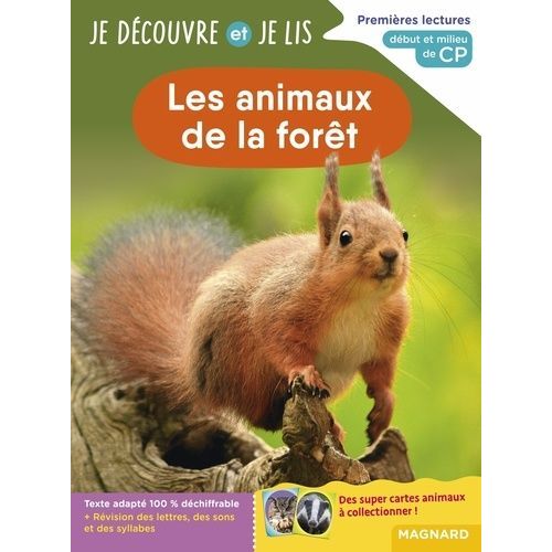 Les Animaux De La Forêt - Premières Lectures, Début Et Milieu De Cp