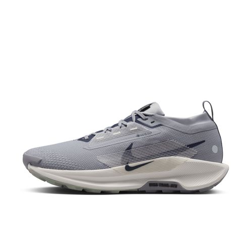Chaussure De Trail Imperméable Nike Pegasus Trail 5 Gore Cement Grey/jade Horizon/burgundy Crush/midnight Navy Fq0908006