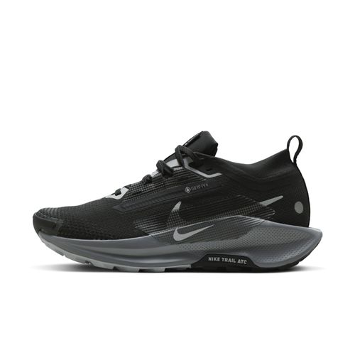Chaussure De Trail Imperméable Nike Pegasus Trail 5 Gore Noir/cool Grey/anthracite/wolf Grey Fq0912001