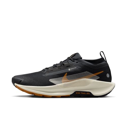 Chaussure De Trail Imperméable Nike Pegasus Trail 5 Gore Off Noir/noir/monarch/pale Ivory Fq0908007