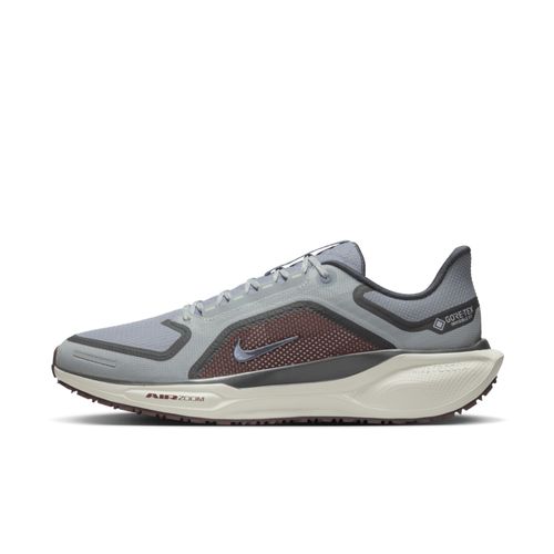 Chaussure De Running Sur Route Imperméable Nike Pegasus 41 Gore Light Pumice/burgundy Crush/dark Smoke Grey/ashen Slate Fq1356003
