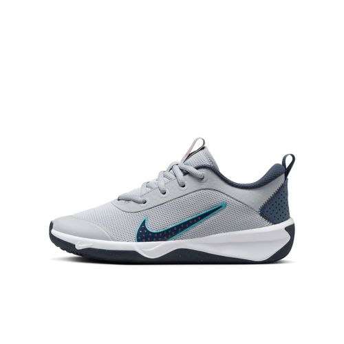 Chaussure De Sport En Salle Nike Omni Multi Wolf Grey/bright Crimson/dusty Cactus/thunder Blue Dm9027010