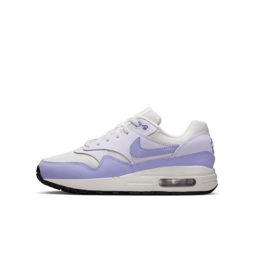 Chaussures Air Max 1pour Ado Platinum Tint/barely Grape/noir/hydrangeas Dz3307s011