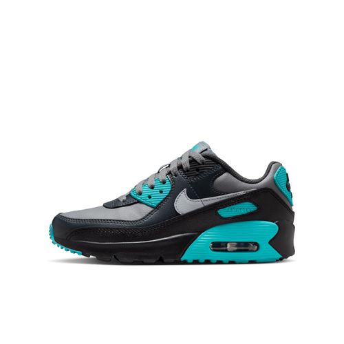 Chaussure Nike Air Max 90 Ltr Pour Ado Cool Grey/dusty Cactus/noir/wolf Grey Cd6864027