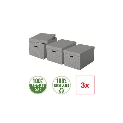 Boîte De Rangement Pour La Maison Esselte, Grand Format, Lot De 3