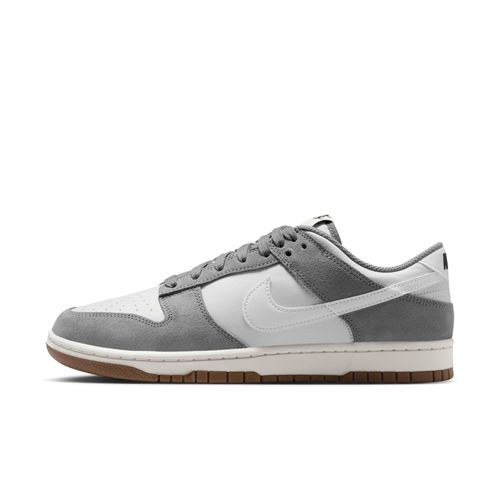 Chaussure Nike Dunk Low Retro Se Pour Homme Cool Grey/photon Dust/blanc/blanc Ib6399001