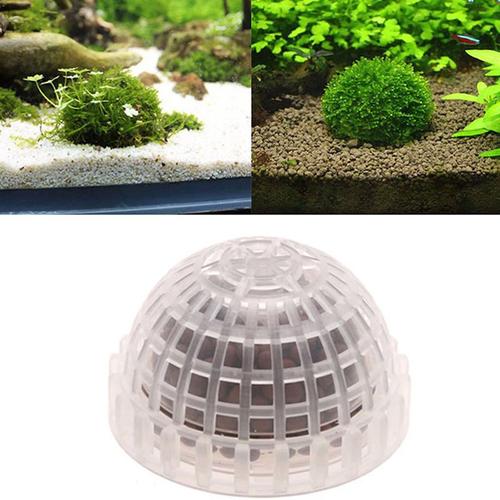 Boule De Mousse Pour Aquarium, Fournitures Pour Animaux De Compagnie, Filtre Pour Plantes Vivantes, Crevettes, Poissons Précieux, Décor, 1 Pièce