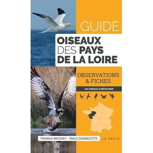 Guide Des Oiseaux Des Pays De La Loire - Observations & Fiches