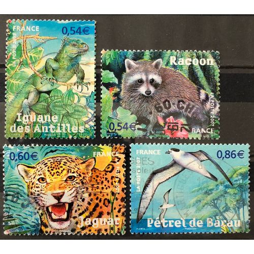 Série Animaux En Voie De Disparition - Très Jolis - 4033 Iguane + 4034 Racoon + 4035 Jaguar + 4036 Pétrel Obl - France Année 2007 - Brn83 - N33437