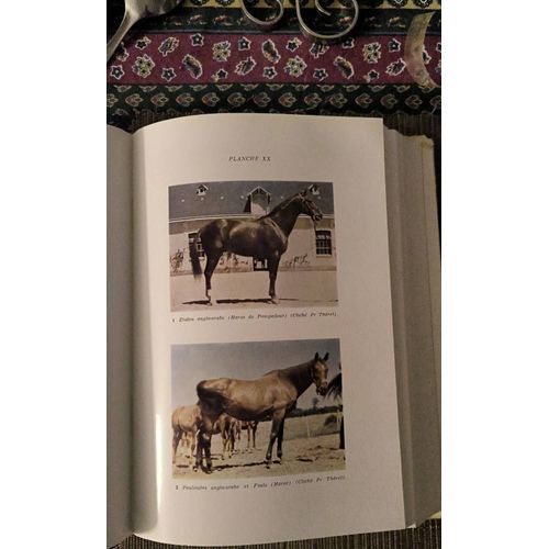 Encyclopédie Du Cheval