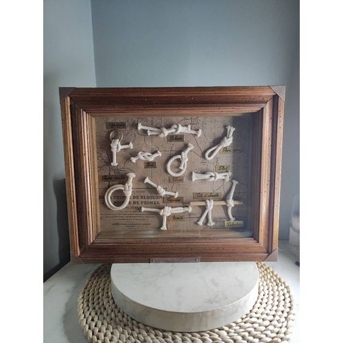 Tableau noeud marin