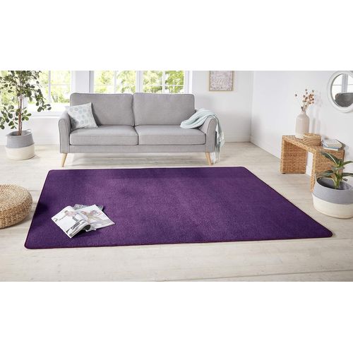 Shiba-Tapis, Violet[1257]