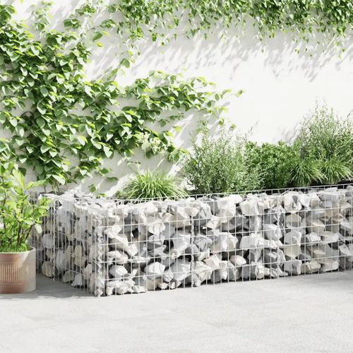 Prolenta Premium - Mur De Gabion Acier Galvanisé 630x30x50 Cm