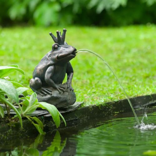 Prolenta Premium - Fontaine De Jardin À Cracheur Grenouille Roi