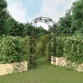 Prolenta Premium - Arche De Jardin Noir 116x45x240 Cm Acier